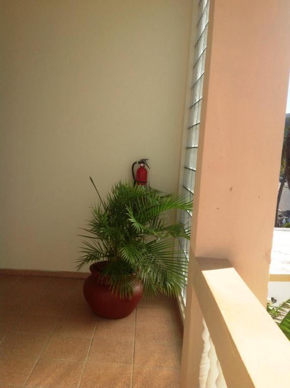 Suenos Del Mar Apartment Fajardo Exterior photo